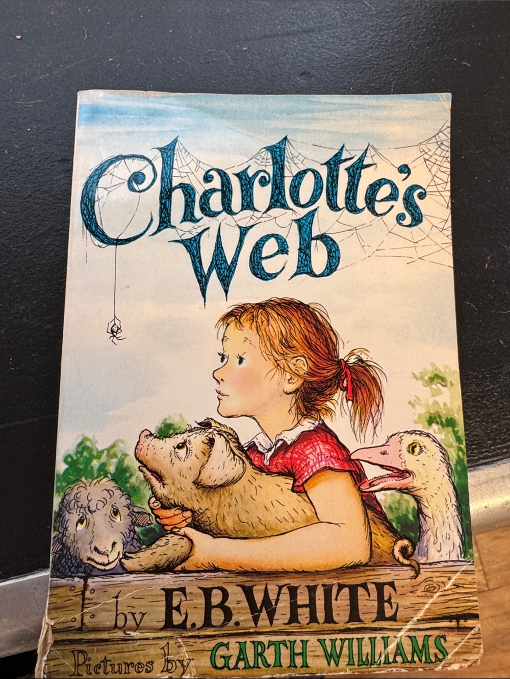 Set of 12 Charlotte's Web Illustrated Book - Blue, Red, Green Cover